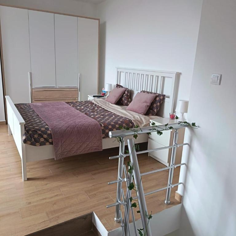 Divčibarska čarolija - Apartman sa 1 Spavaćom Sobom - 42