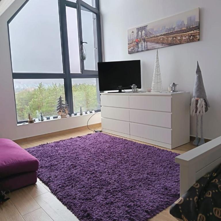 Divčibarska čarolija - Apartman sa 1 Spavaćom Sobom - 47