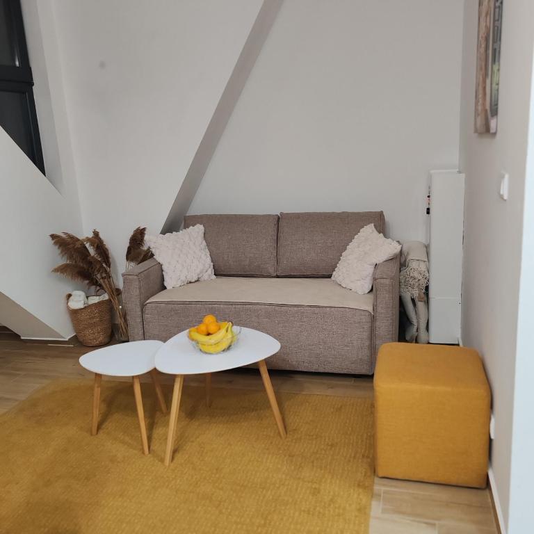 Divčibarska čarolija - Apartman sa 1 Spavaćom Sobom - 6