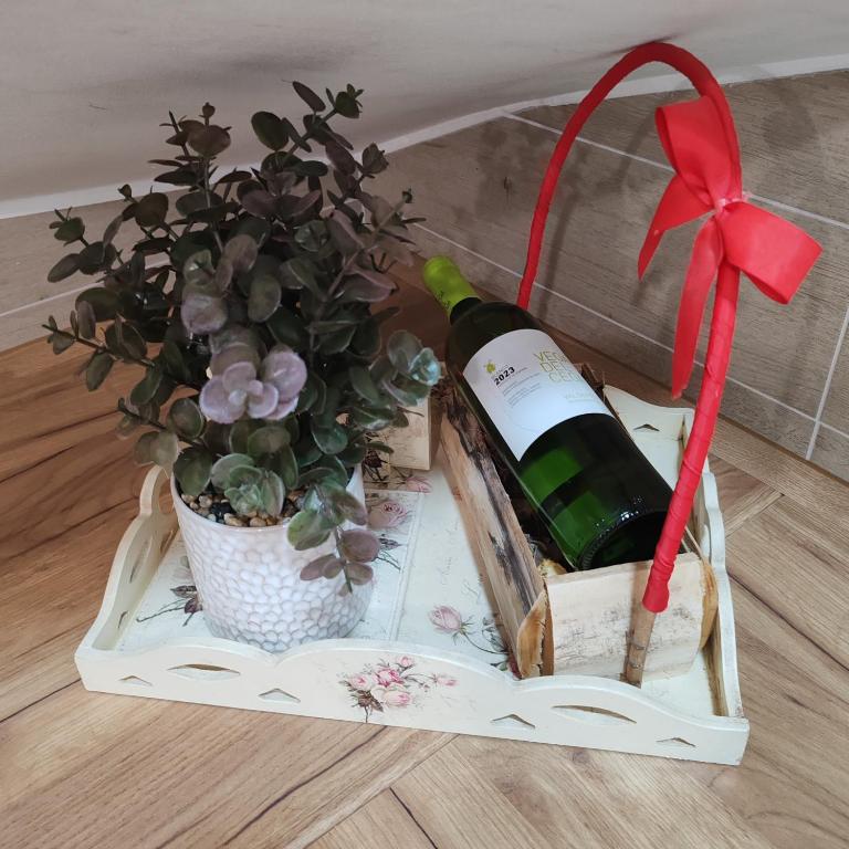 Divčibarska čarolija - Apartman sa 1 Spavaćom Sobom - 31