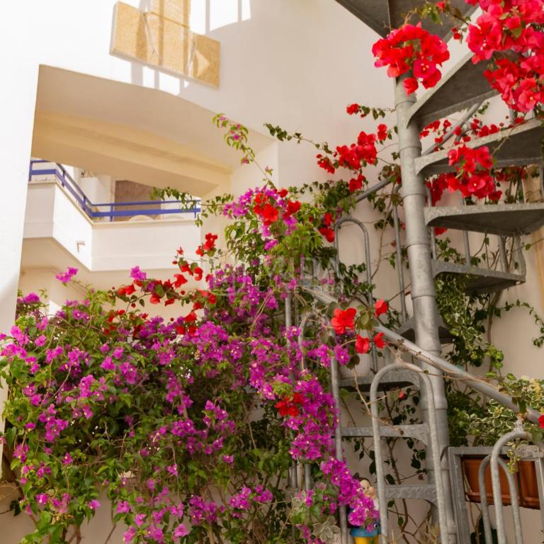 Feng Shui Flat - Appartamento - 9