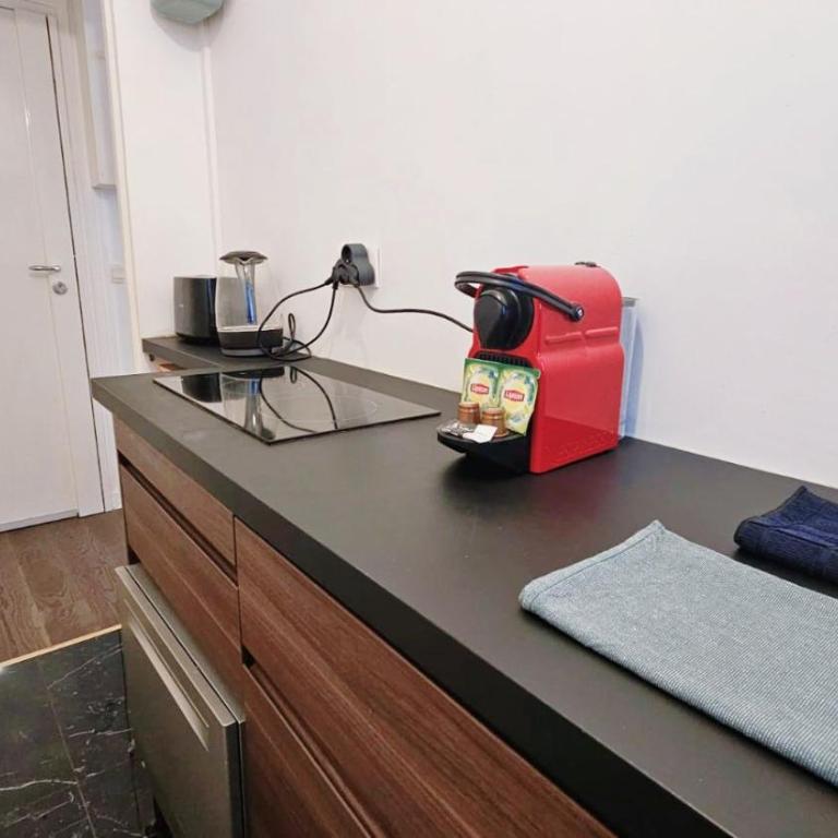 APPARTEMENT TOUT NEUF QUARTIER TOUR EIFFEL, INVALIDES et TROCADERO - Appartement 1 Chambre - 5