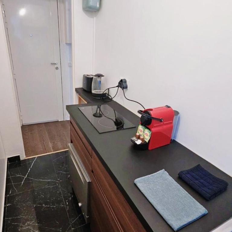 APPARTEMENT TOUT NEUF QUARTIER TOUR EIFFEL, INVALIDES et TROCADERO - Appartement 1 Chambre - 12