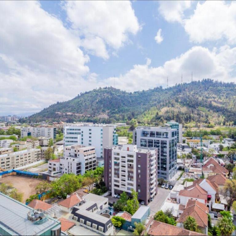 Manuel Montt Providencia Apartment - Two-Room Apartment - 28