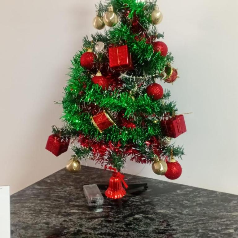 Patricia, hermoso 2 amb, cerca de la playa y del casino central de mar del plata - Apartamento de 1 dormitorio - 5