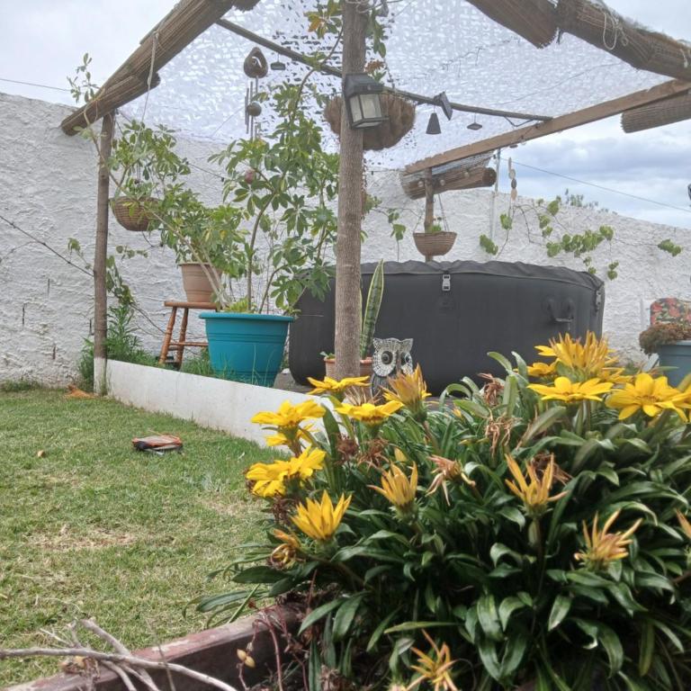 Mundo Mágico - Apartamento de 1 dormitorio - 2