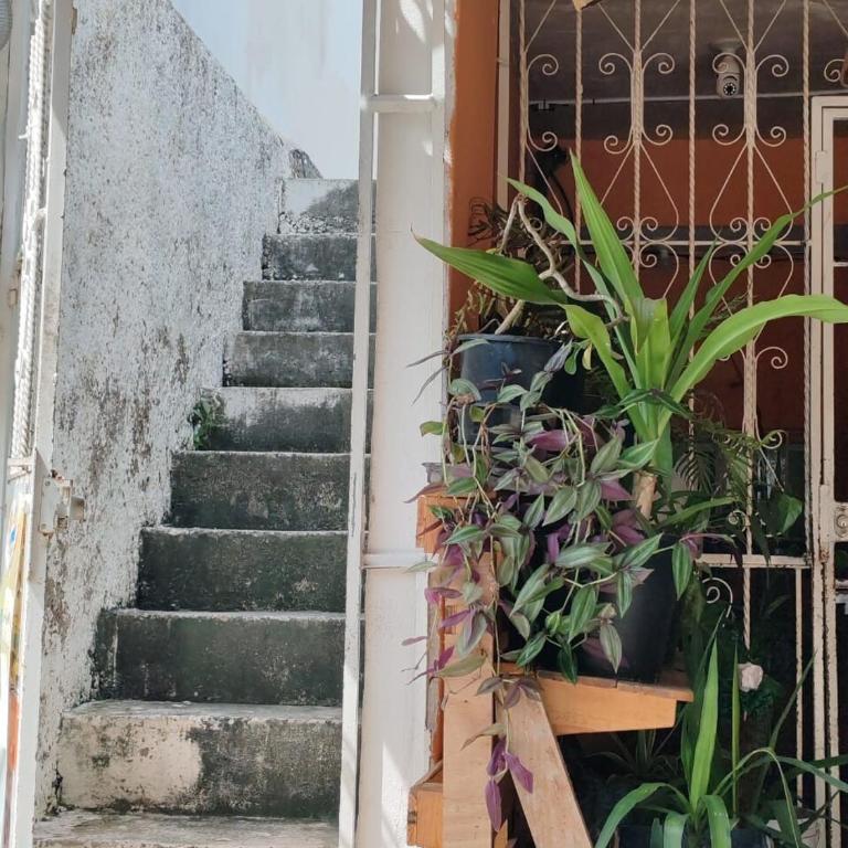 Alojamiento Céntrico con todas las comodidades - Apartamento de 1 dormitorio - 2