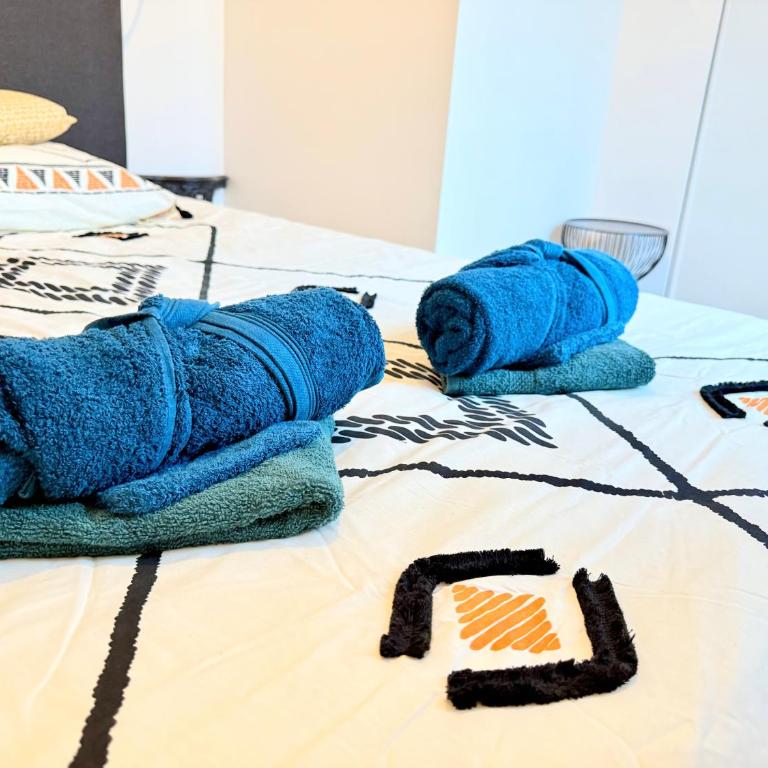 Sejour premium T3 hypercentre, terrasse, wifi Hotel style stay T3 city center terrace WiFi - Apartment mit 2 Schlafzimmern - 19