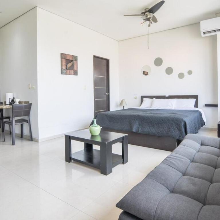 LoftStudio 2C - One-Bedroom Apartment - 19