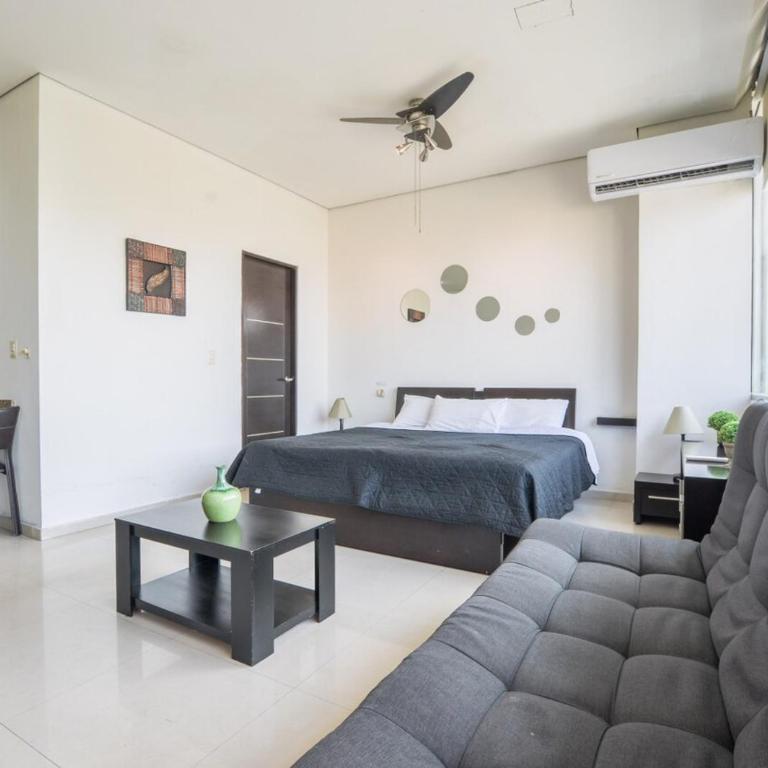 LoftStudio 2C - One-Bedroom Apartment - 30