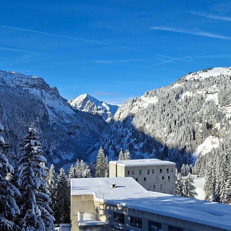 Appartement Confortable, Proche Pistes & Commerces, Balcon - Appartement 1 Chambre - 15