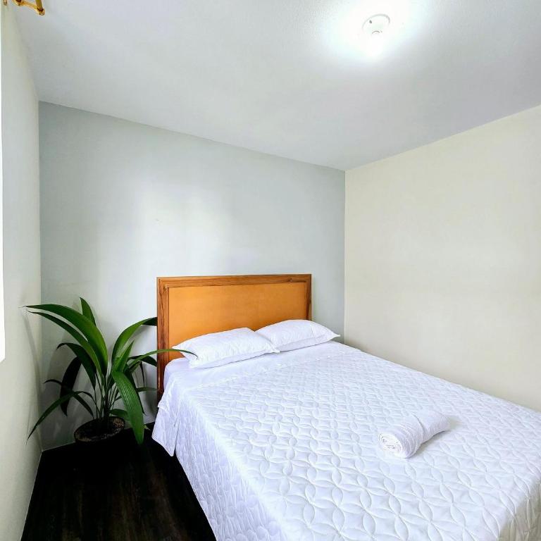 Apartamento Vacacional de 3 Habitaciones con Piscina A 20 Minutos de Salento Quindío - Three-Bedroom Apartment - 9