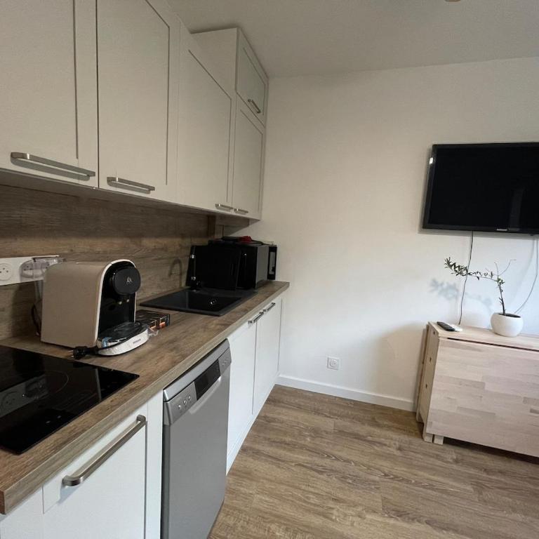 Studio avec canapé lit 2 places dans pièce de vie et lit une place dans coin nuit - Apartment mit 1 Schlafzimmer - 4