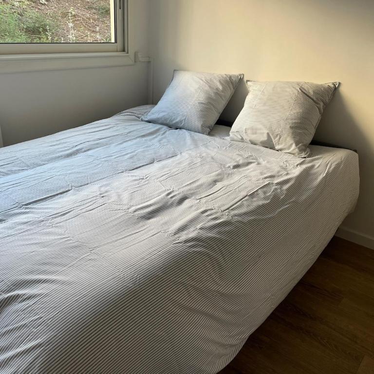 Studio avec canapé lit 2 places dans pièce de vie et lit une place dans coin nuit - Apartment mit 1 Schlafzimmer - 6