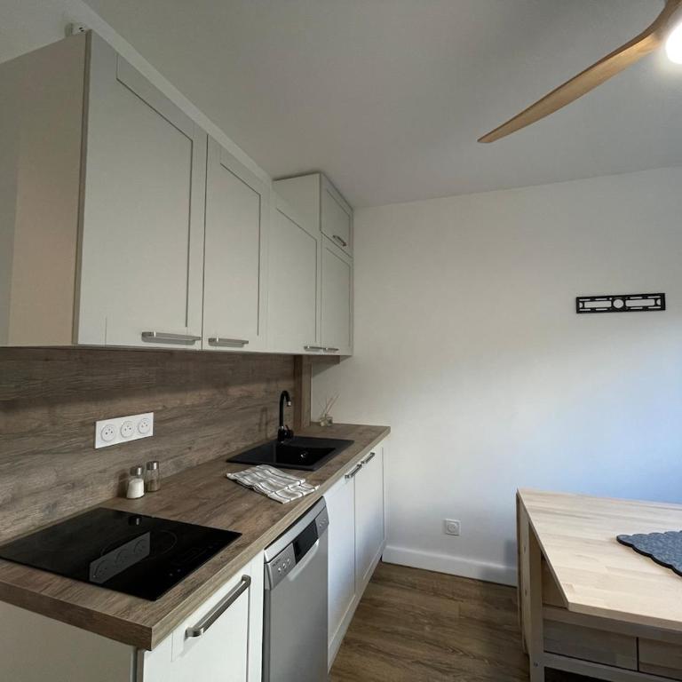 Studio avec canapé lit 2 places dans pièce de vie et lit une place dans coin nuit - Apartment mit 1 Schlafzimmer - 20