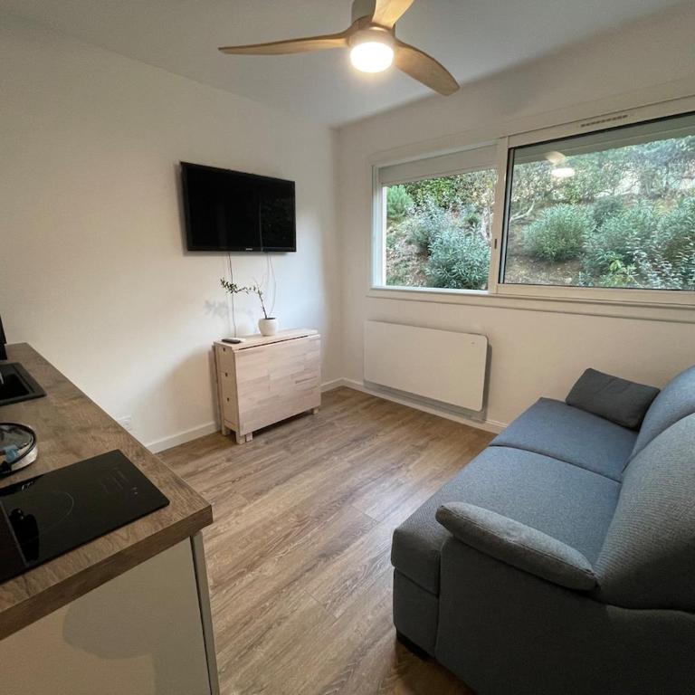Studio avec canapé lit 2 places dans pièce de vie et lit une place dans coin nuit - Apartment mit 1 Schlafzimmer - 25