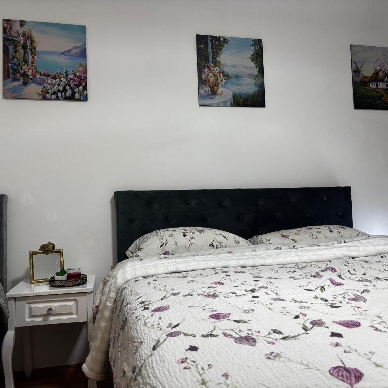 Molinelli apartment - Apartman sa 1 Spavaćom Sobom - 10
