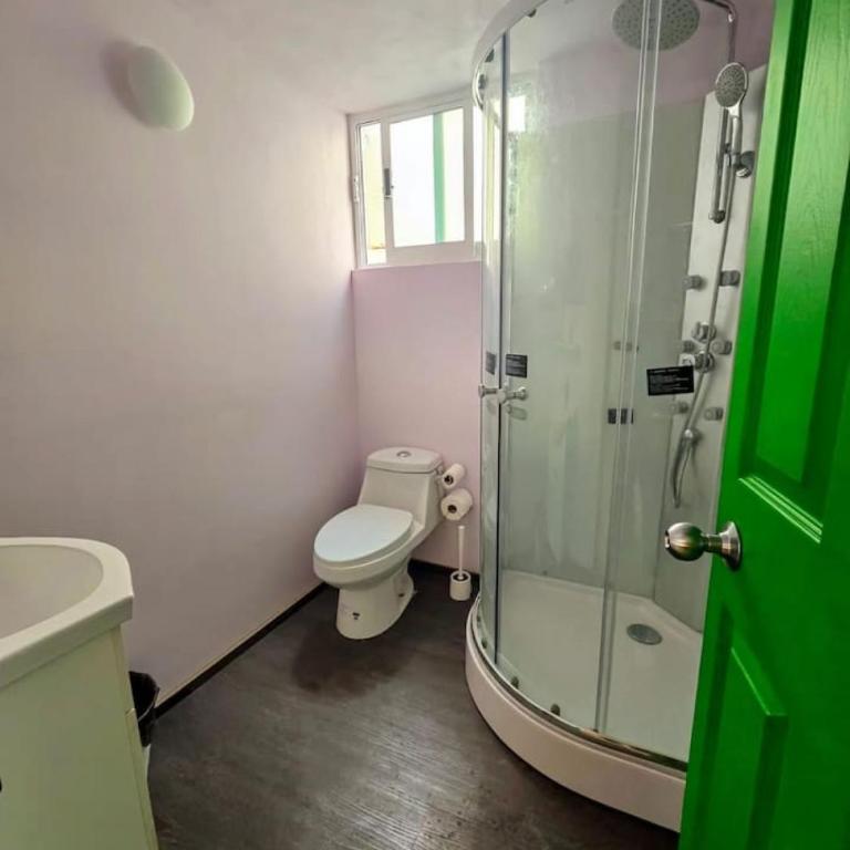 Suite Verde amplia para 6 huéspedes Espacios cómodos, diseño relajante y ubicación céntrica - Vacation Home - 37