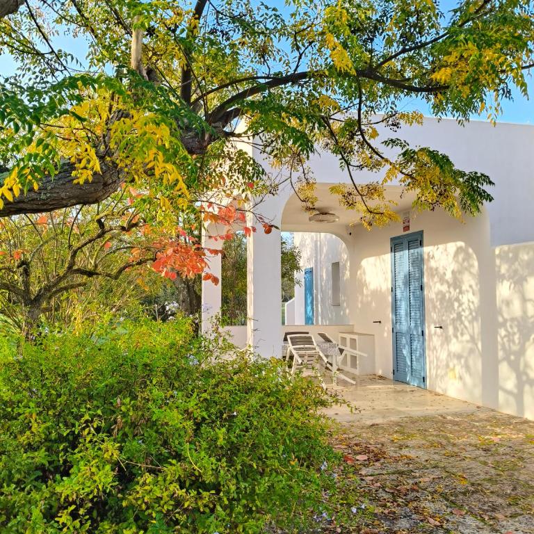 Trullollero UnPostoNelMondo Trullo Romantico con Giardino Privato Relax e Privacy - Casa Vacanze - 87