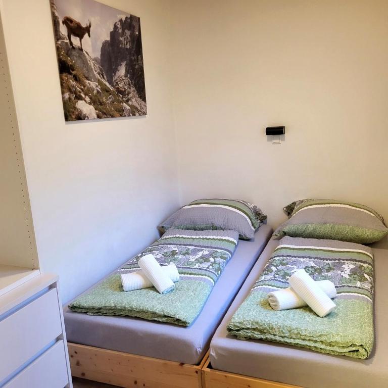 Nature Fun Apartments - Nahe Pressegger See - Skibus zum Nassfeld - Familien & Hunde willkommen - Apartment mit 2 Schlafzimmern - 4