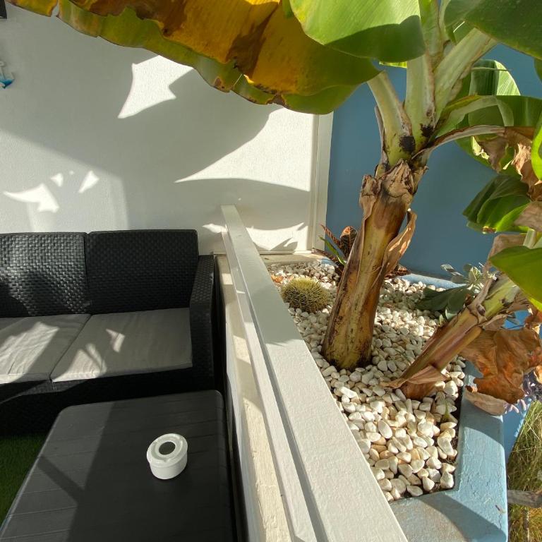 Halászfalu Apartman Green Park Golf del Sur - Apartamento de 1 dormitorio - 11