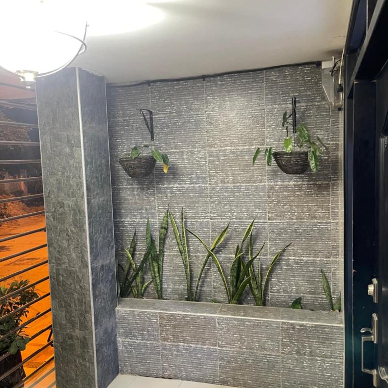 Apartamentos Ruiz - Apto 01 - Three-Bedroom Apartment - 5