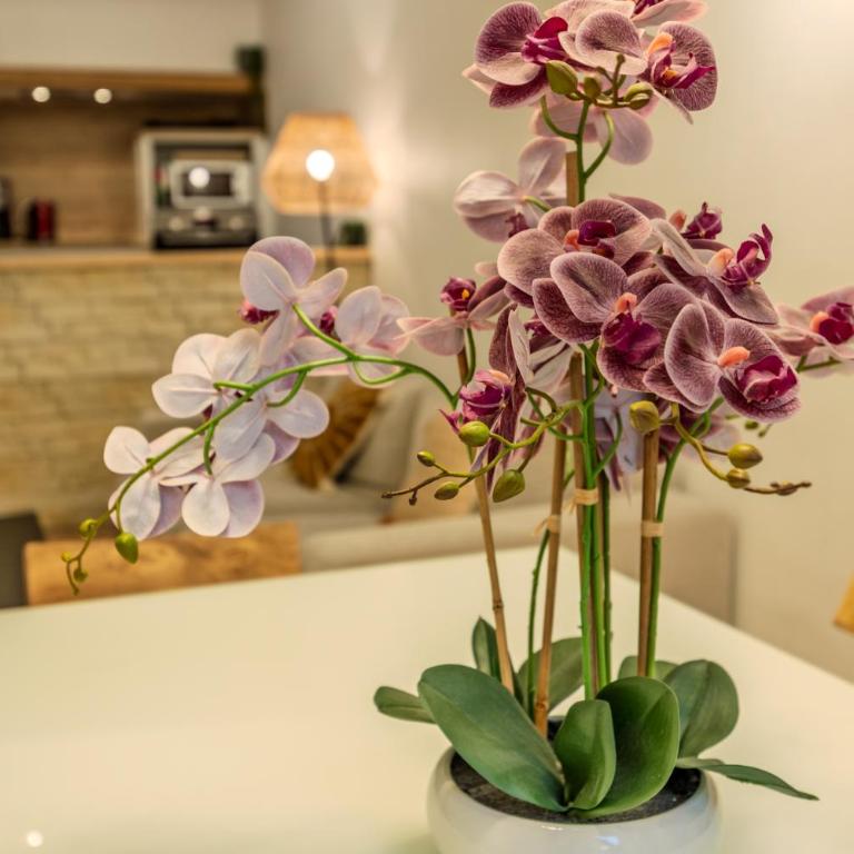 Perle du Thiou - Luxe et Sauna - Apartment mit 2 Schlafzimmern - 17