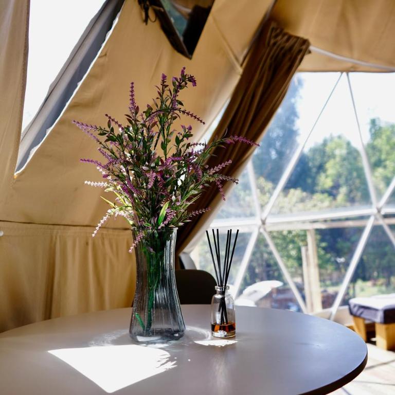Glamping Domo Tinaja y Piscina Climatizada - Tent - 21