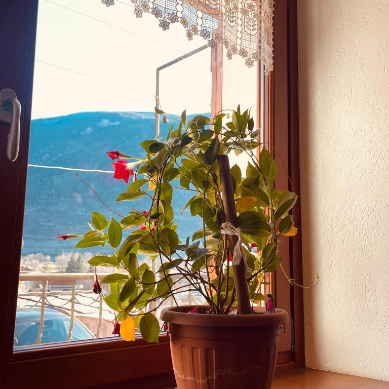 Gran Paradiso Alpine Lodge - Appartamento con 2 Camere da Letto - 4