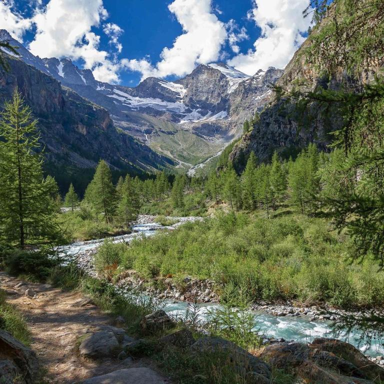 Gran Paradiso Alpine Lodge - Appartamento con 2 Camere da Letto - 13