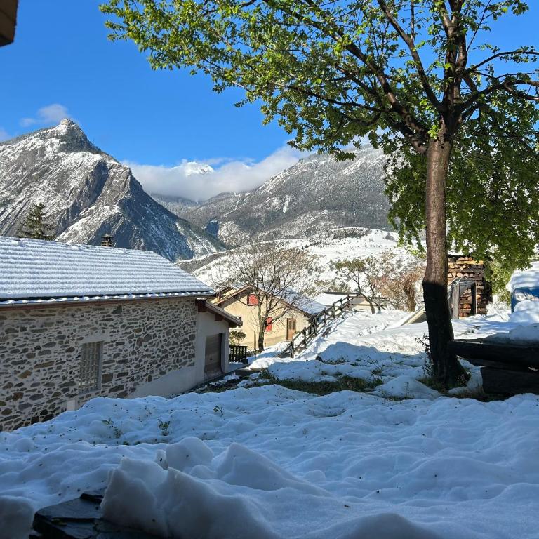 Chalet des balcons - Chalet 2 Chambres - 8