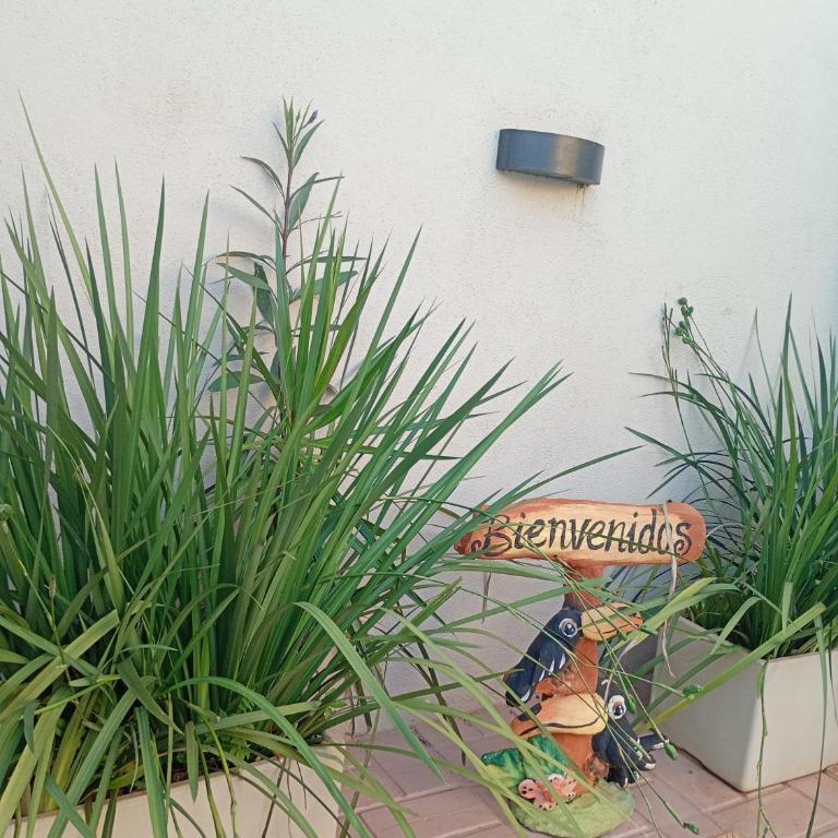 Brisas Iguazú II - Casa de 3 dormitorios - 3