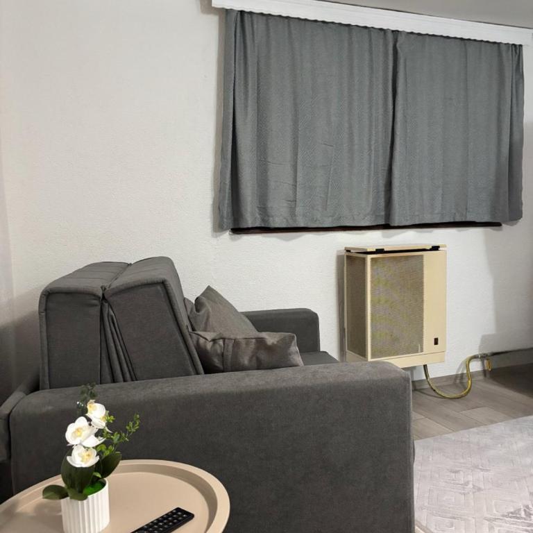 Borak Relax apartments - Apartman sa 1 Spavaćom Sobom - 4
