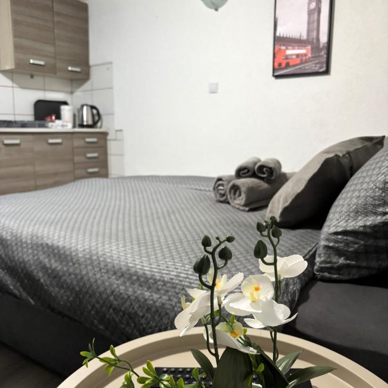 Borak Relax apartments - Apartman sa 1 Spavaćom Sobom - 5