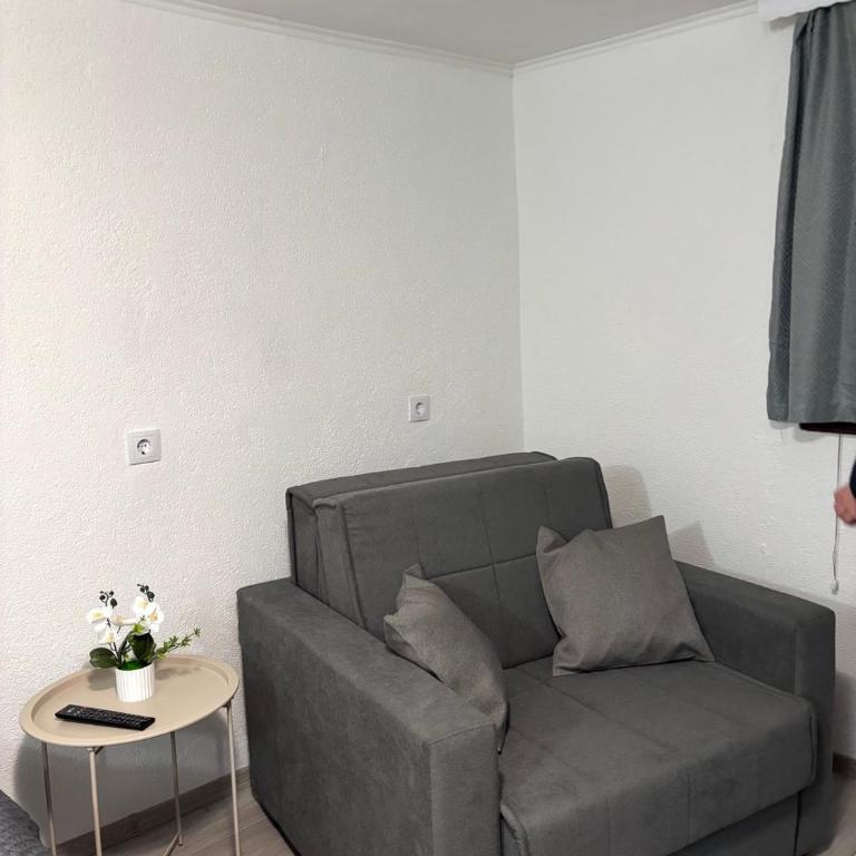 Borak Relax apartments - Apartman sa 1 Spavaćom Sobom - 7
