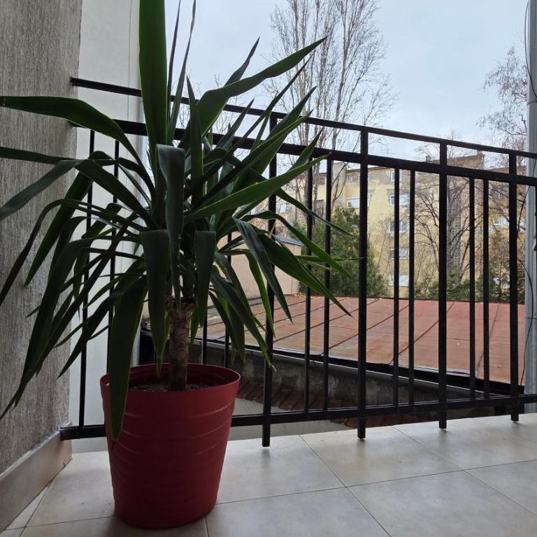 Vracar Luxury Apartment - One-Bedroom Apartment - 40