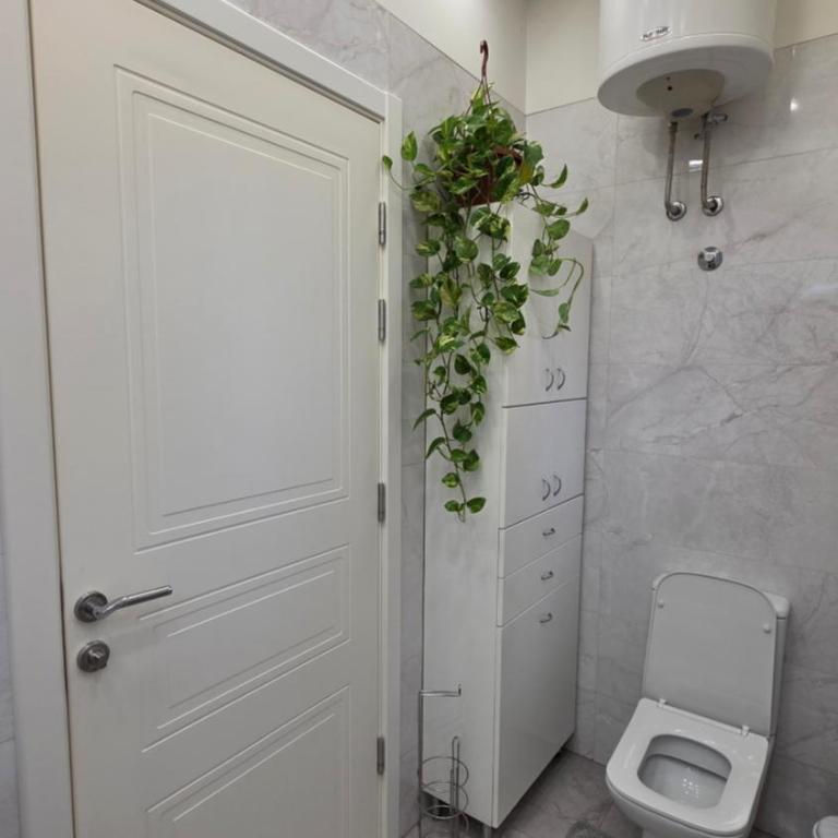 Vracar Luxury Apartment - One-Bedroom Apartment - 45