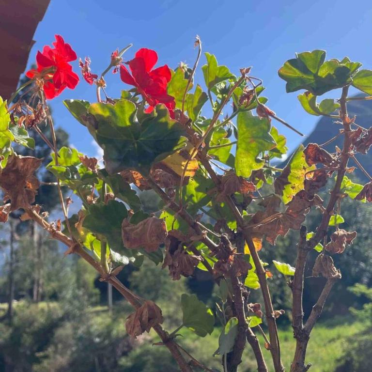 Casa de Campo en el Valle Sagrado de los Incas, Urubamba - Unu Samay - Four-Bedroom House - 45
