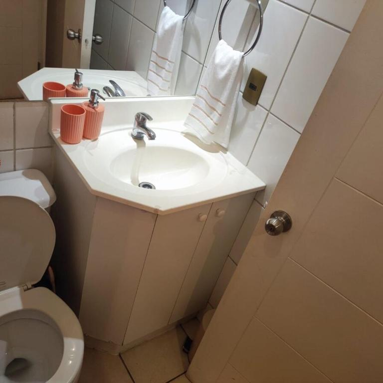 Centro & Economico - One-Bedroom Apartment - 4