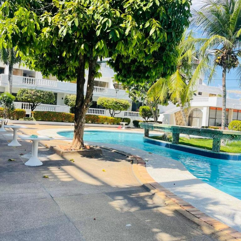 lujoso apartamento - Apartamento de 2 dormitorios - 50