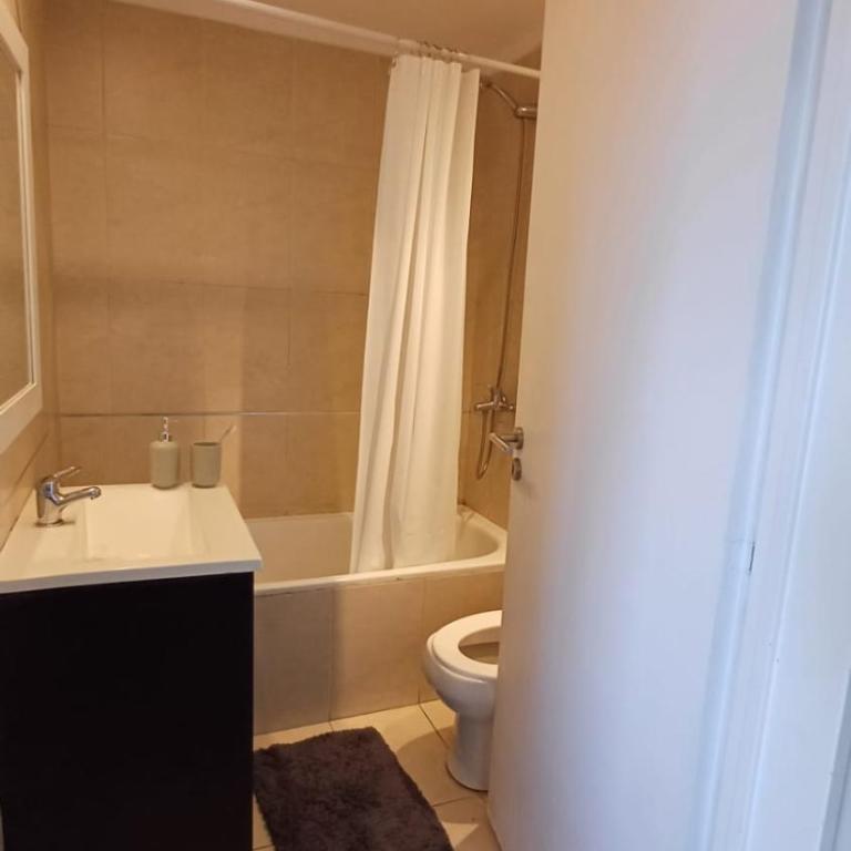 Palermo beautiful apt pool and GRILL - One-Bedroom Apartment - 9