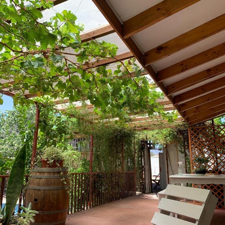 Cabaña con Patio y Árboles - One-Bedroom House - 30