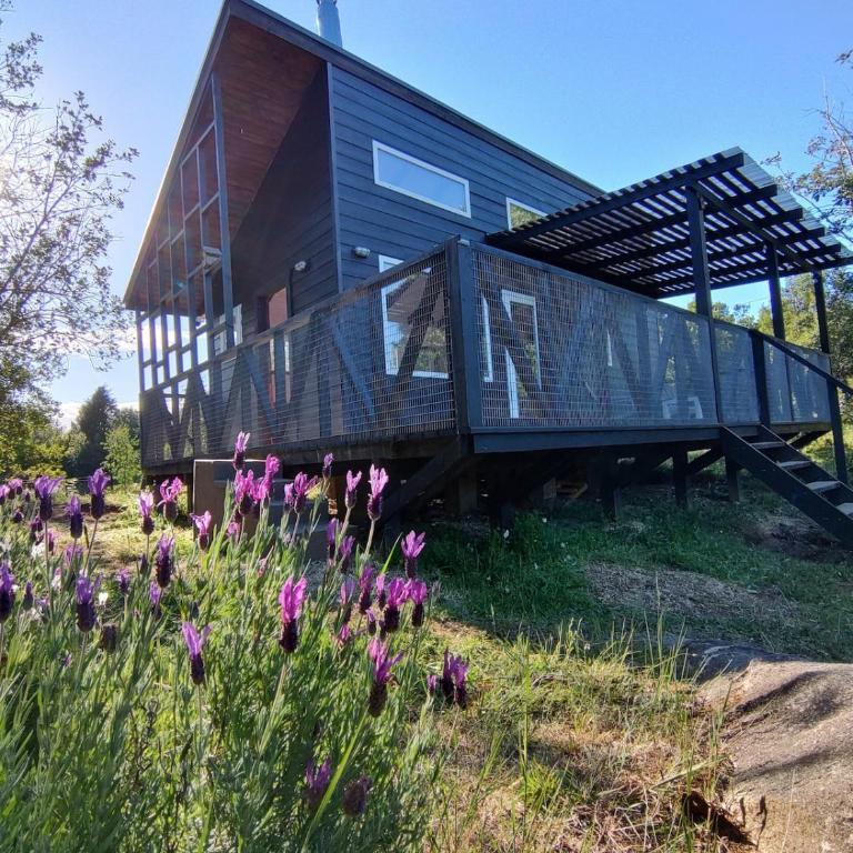 Tiny House rodeada de bosque nativo - One-Bedroom House - 1