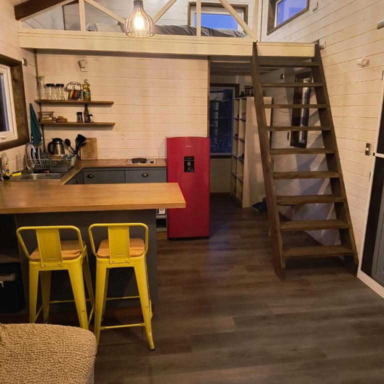 Tiny House rodeada de bosque nativo - One-Bedroom House - 11