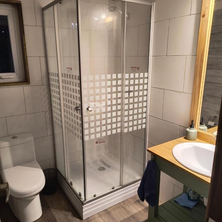 Tiny House rodeada de bosque nativo - One-Bedroom House - 23