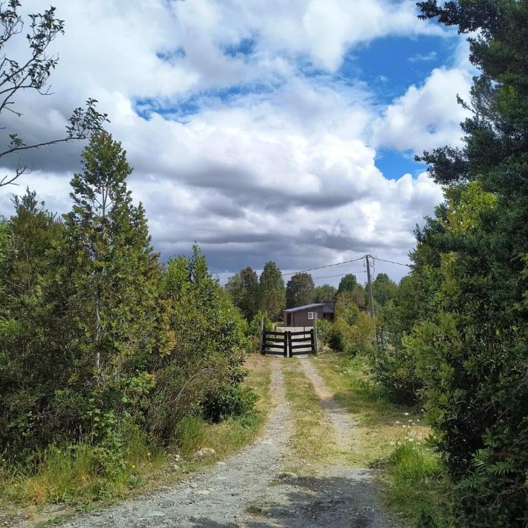 Tiny House rodeada de bosque nativo - One-Bedroom House - 25