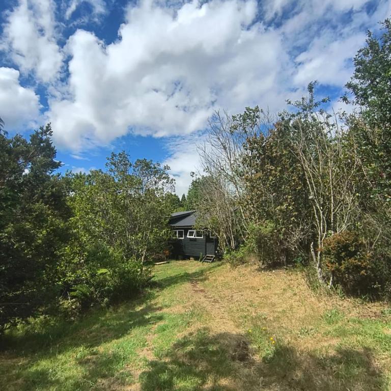 Tiny House rodeada de bosque nativo - One-Bedroom House - 26