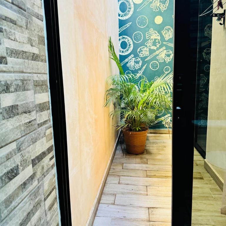 Ceremonial Tulum - Apartamento - 7