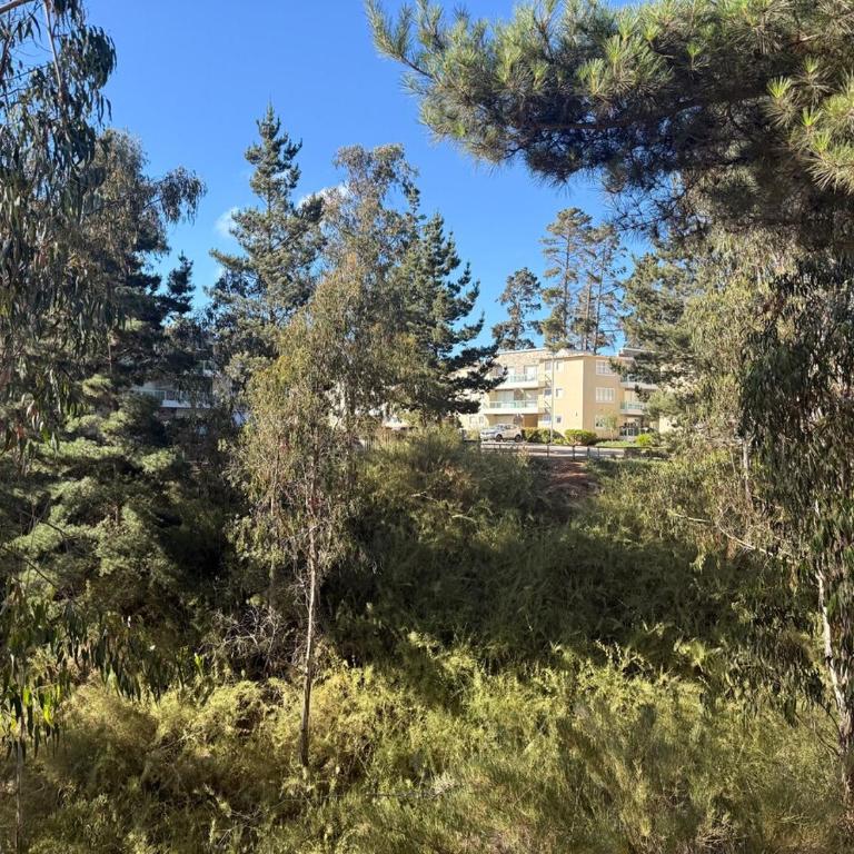 Departamento en Quebradas de La Candelaria, Algarrobo - Apartamento de 3 dormitorios - 20