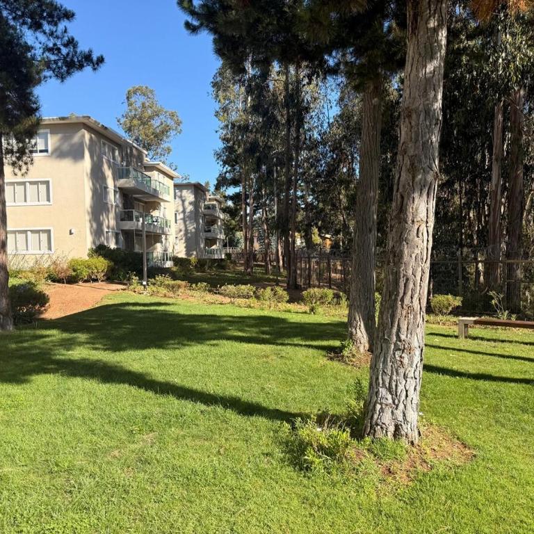 Departamento en Quebradas de La Candelaria, Algarrobo - Apartamento de 3 dormitorios - 39